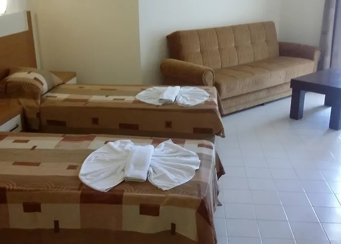 Primera & App ألانيا